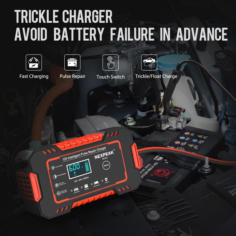 Cargador de Baterías Portátil 12V